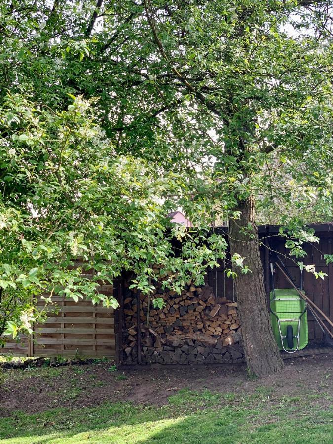 Chalupa Luznice Třeboň Exteriér fotografie