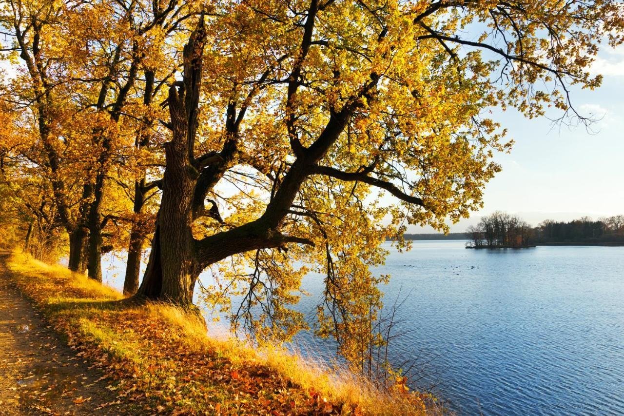 Chalupa Luznice Třeboň Exteriér fotografie